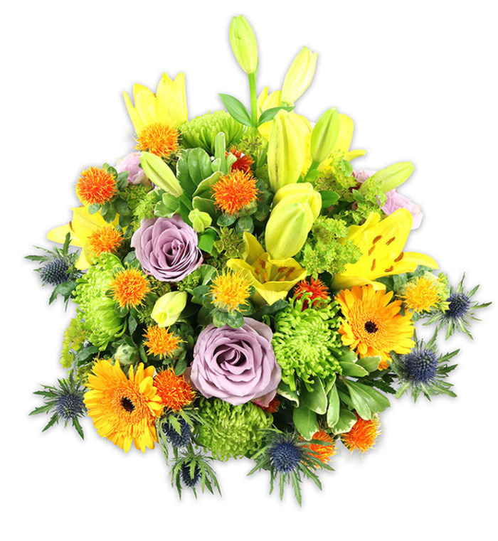 This densely packed floral composition reads like a small landscape of summer and late-spring tones, set against stark white to let every hue sing. Several bright yellow Asiatic lilies form dramatic vertical accents - some open and displaying their speckled interiors and delicate stamens, others retained as elongated buds that lift the eye and suggest future blooms. Close by, soft lavender-purple roses curl inward in a measured spiral, introducing a cool, romantic centre that calms the vivid surrounding palette. Large orange Gerbera daisies, unmistakable with their radiating petals and darker centres, add bold, joyful punctuation, while chartreuse or lime green button chrysanthemums provide textured, cushiony mass that fills and supports the bouquet's silhouette. Interspersed small, globe-like orange and golden yellow accents offer playful spots of energy and a slightly prickly texture, contrasting with the smoother petals. The arrangement's unexpected counterpoint comes from blue-grey sea thistles (Eryngium) whose starry, spiky bracts peek from the sides and base, adding sculptural interest and a cool metallic note against the warm flowers. Varied foliage - broad, glossy leaves and fine, airy fillers - creates shadow and depth, letting each bloom be read distinctly. The overall impression is celebratory and thoughtful, scented lightly with lilies and rose, perfectly at home as a centrepiece on a Herne Hill dining table after an afternoon walk through Brockwell Park, or as a cheery bedside bouquet in a Dulwich flat. It conveys warmth, optimism, and careful craft, suitable for congratulations, welcome gifts, or comforting displays.